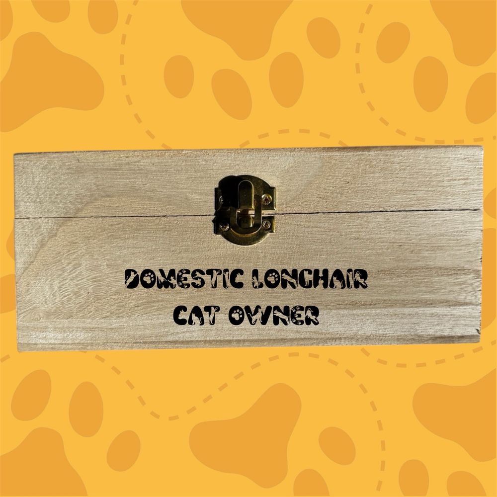 Longhair Domestic Cat Box (8.5 in)