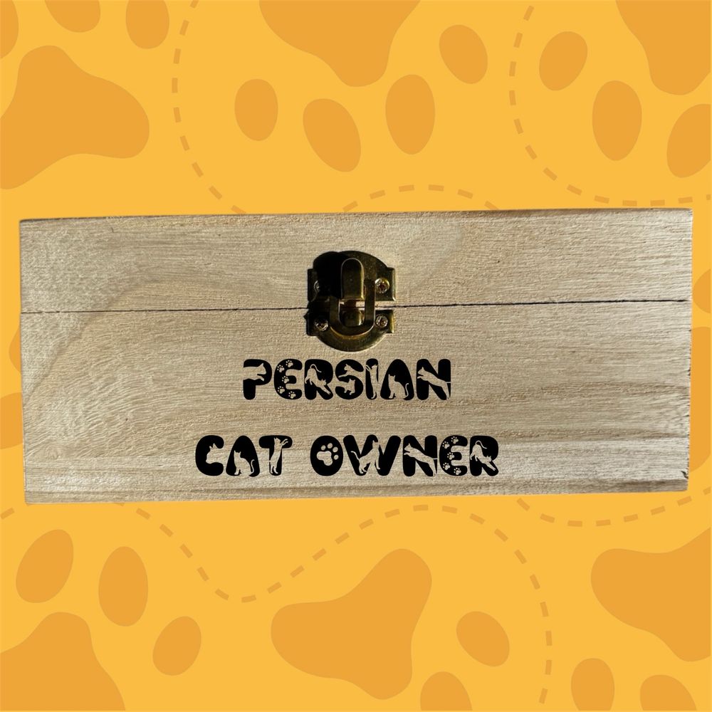 Persian Kitty box 8.5 in